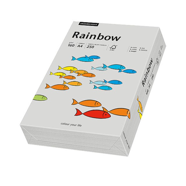 Papper Rainbow A4 160g grå 250ark/fp - 1